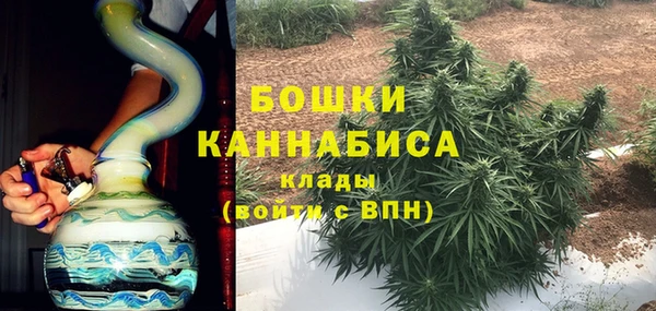 молекула духа Аркадак