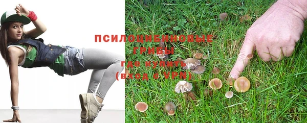гидропоника Армянск